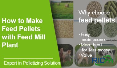 如何用饲料厂生产动物饲料颗粒
