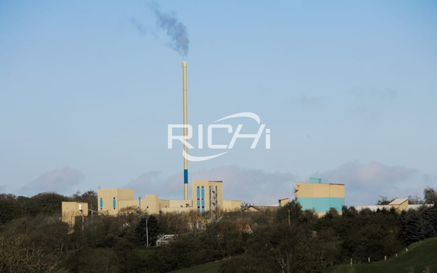 墨西哥 10 吨/小时大容量重型木颗粒制造厂