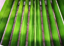 颗粒冷却器排料口