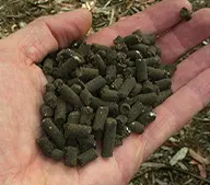 有机肥颗粒和粉末