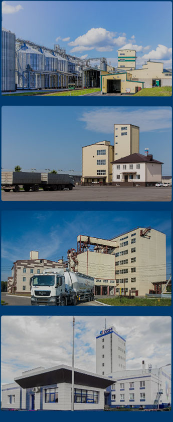 全球颗粒厂案例