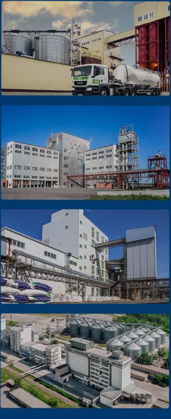 全球颗粒厂案例