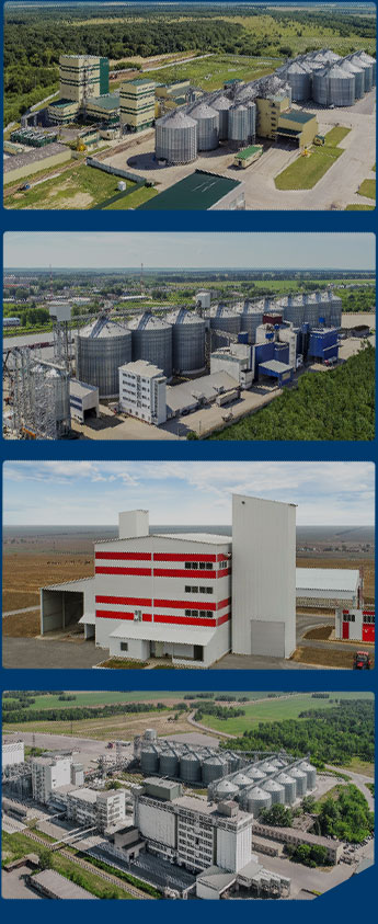 全球颗粒厂案例