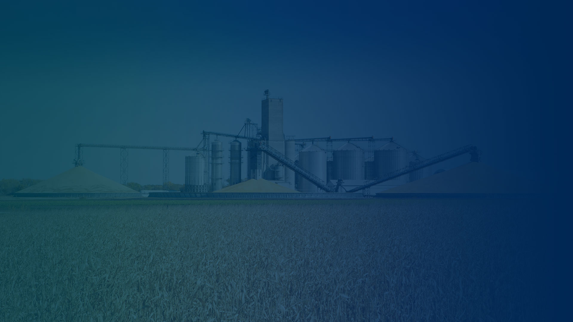 动物饲料颗粒生产线