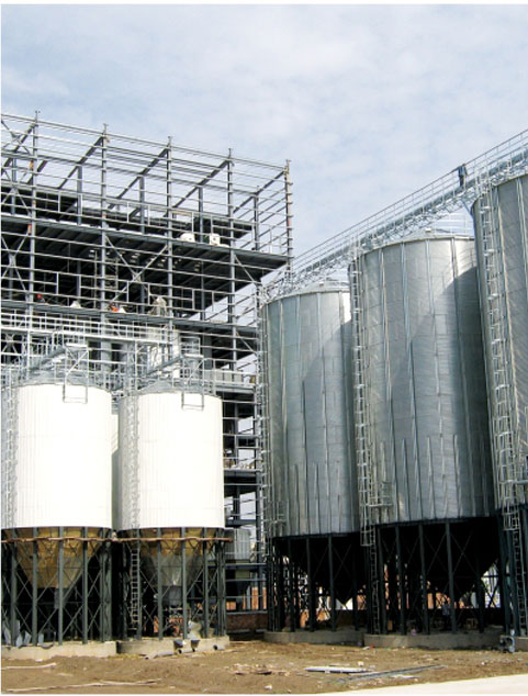 虾/碳水化合物饲料生产线