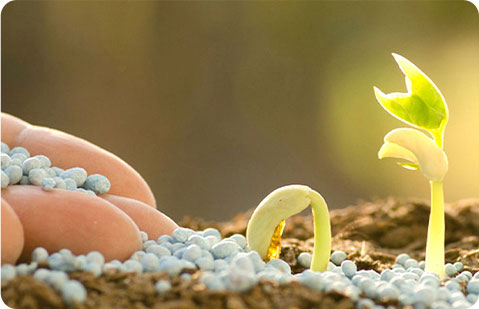 生物质颗粒生产线